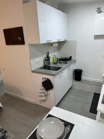 Ferienwohnung Domspatz Mit Klimaanlage Magdeburg Eksteriør billede